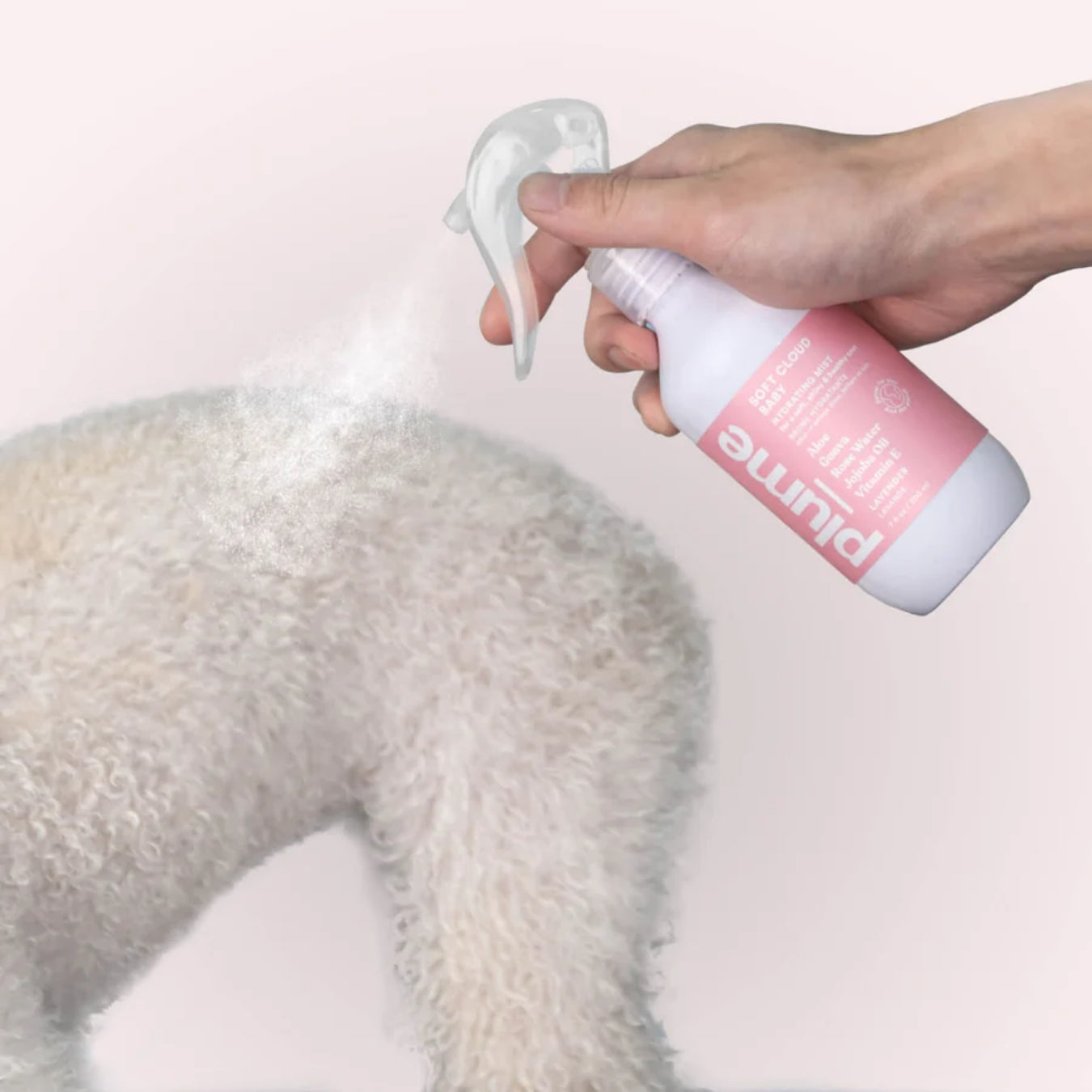 Plume Care Leave-In Conditioner Spray for Dogs & Cats – Sensitive Skin, Natural, Hydrating, Lavender & Rose Water