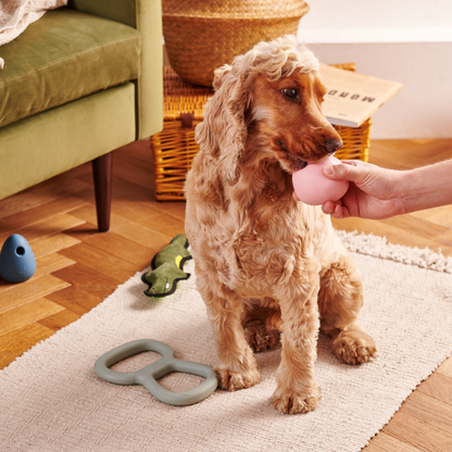 Beco Natural Rubber Wobble Ball Toy