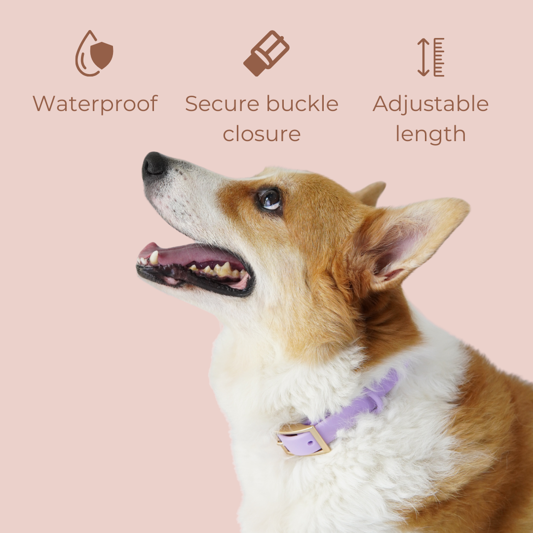 Lumo Waterproof Collar – Quick-drying | All-Weather | Durable | Strong