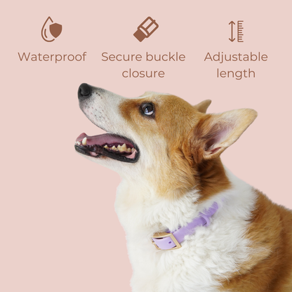 Lumo Waterproof Collar – Quick-drying | All-Weather | Durable | Strong