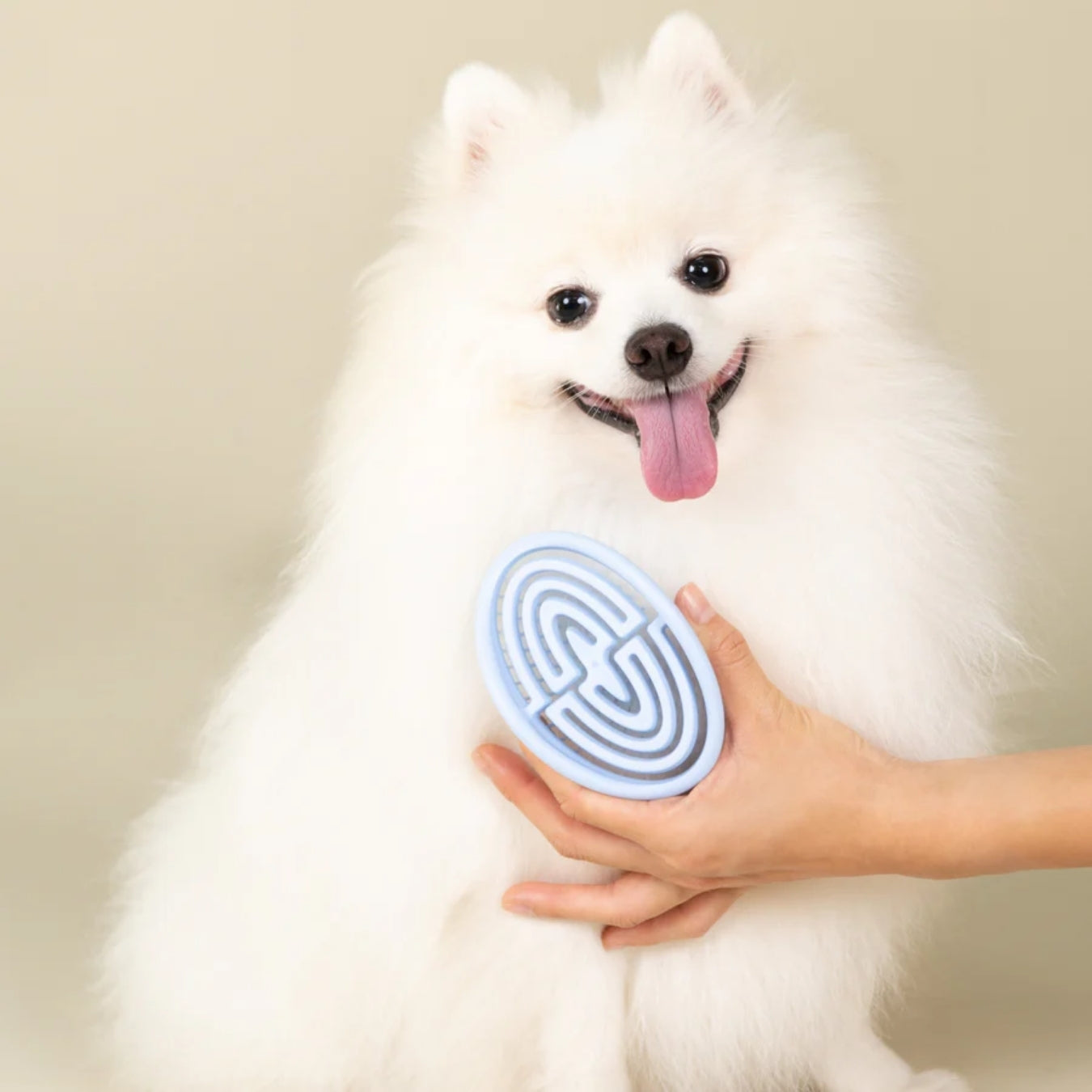 Plume Care Everyday Brush for Dogs, Cats & Pets – Gentle, Detangles & Smooths