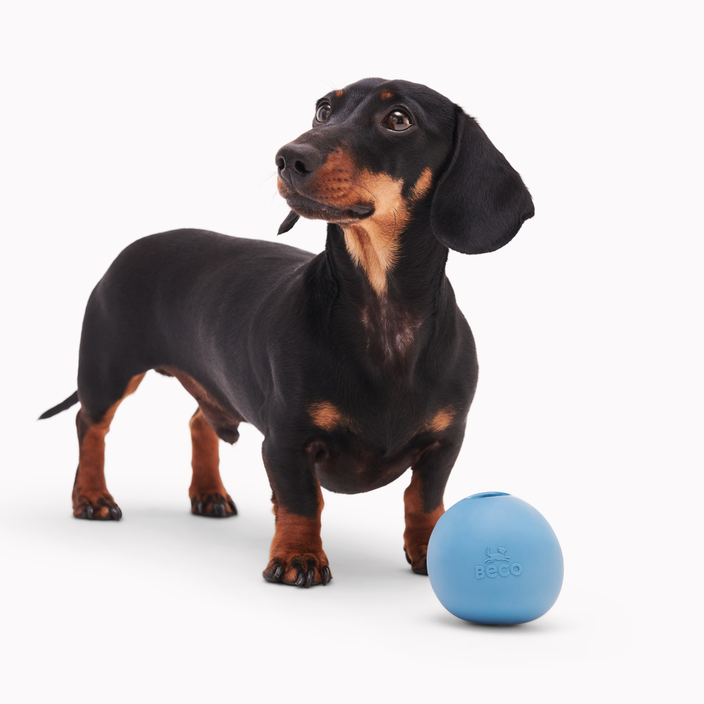 Beco Natural Rubber Wobble Ball Toy