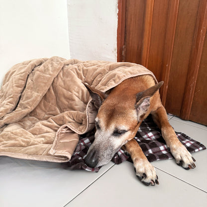 Aurea Weighted Anti-Anxiety Dog Blanket by Komu - Calming Relief | Reduces Stress | Thunder & Noises | Cooling Bamboo
