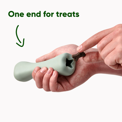 Beco Natural Rubber Chew Bone with Treat Hole