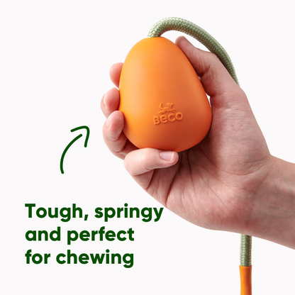 Beco Natural Rubber Slinger Pebble Toy