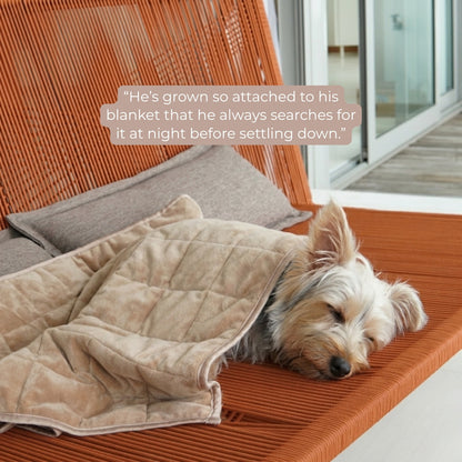 Aurea Weighted Calming Pet Blanket