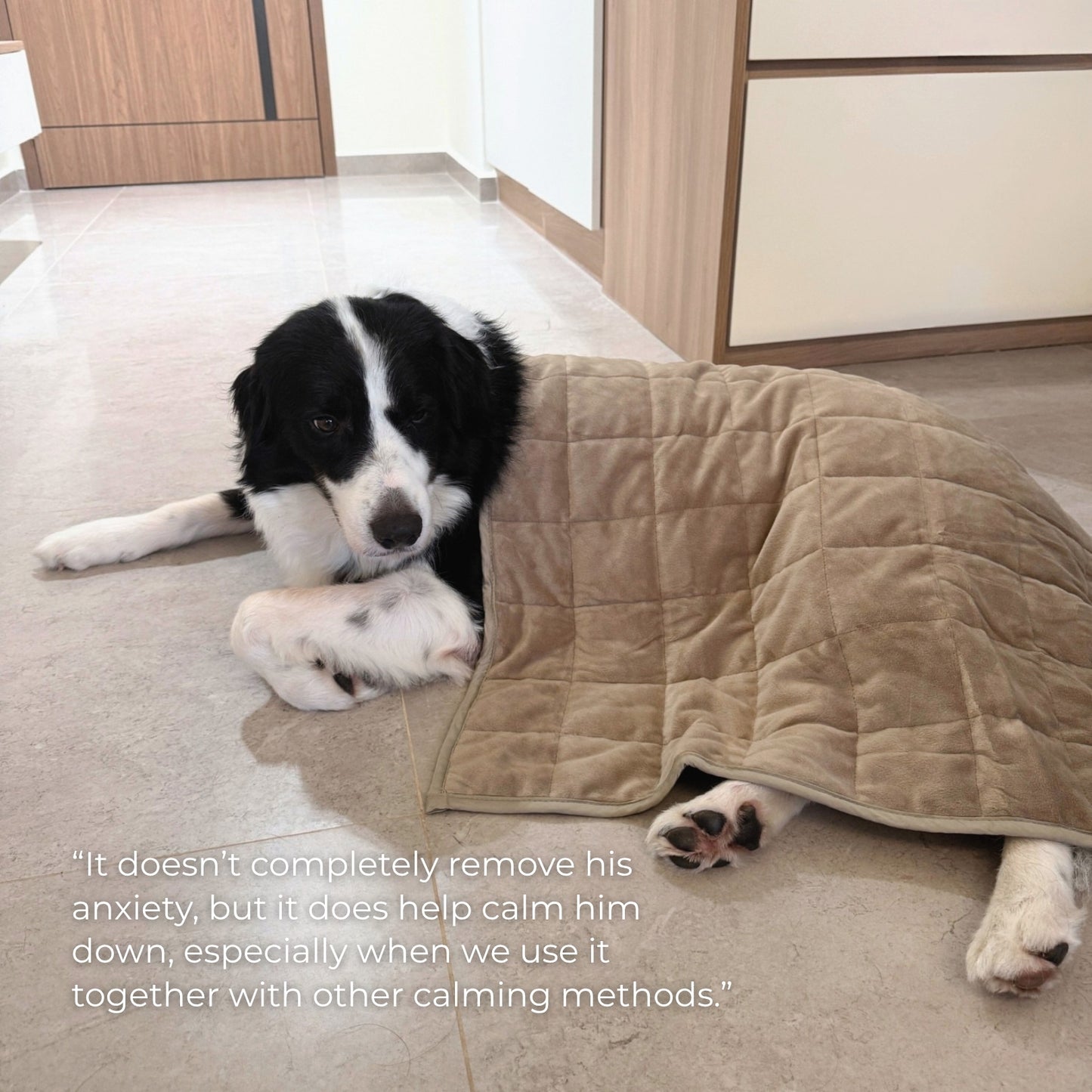 Aurea Weighted Calming Pet Blanket