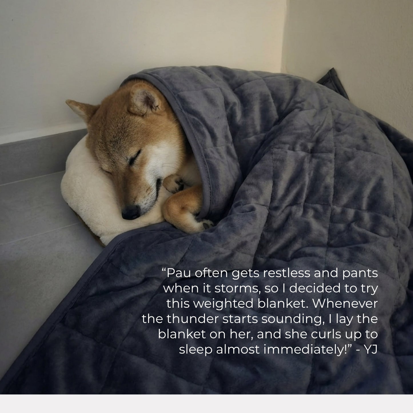 Aurea Weighted Calming Pet Blanket