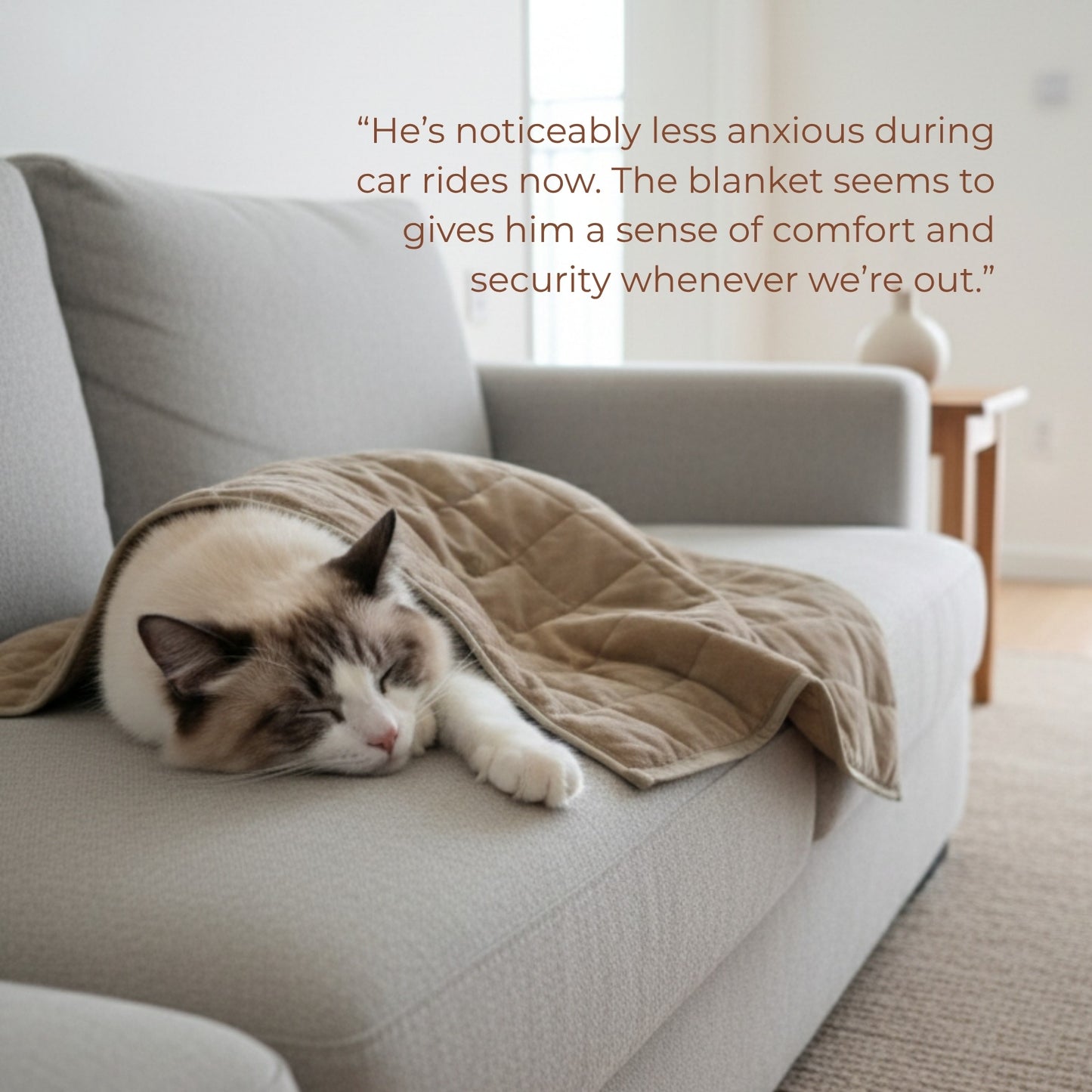 Aurea Weighted Calming Pet Blanket