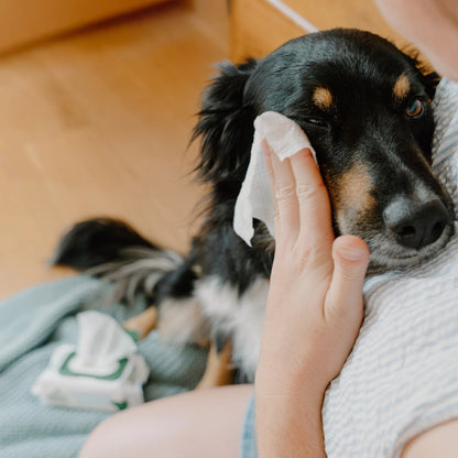 Beco Dog Eye Cleaning Bamboo Wipes, 70 Pack - Fragrance-free | Gentle & Soothing