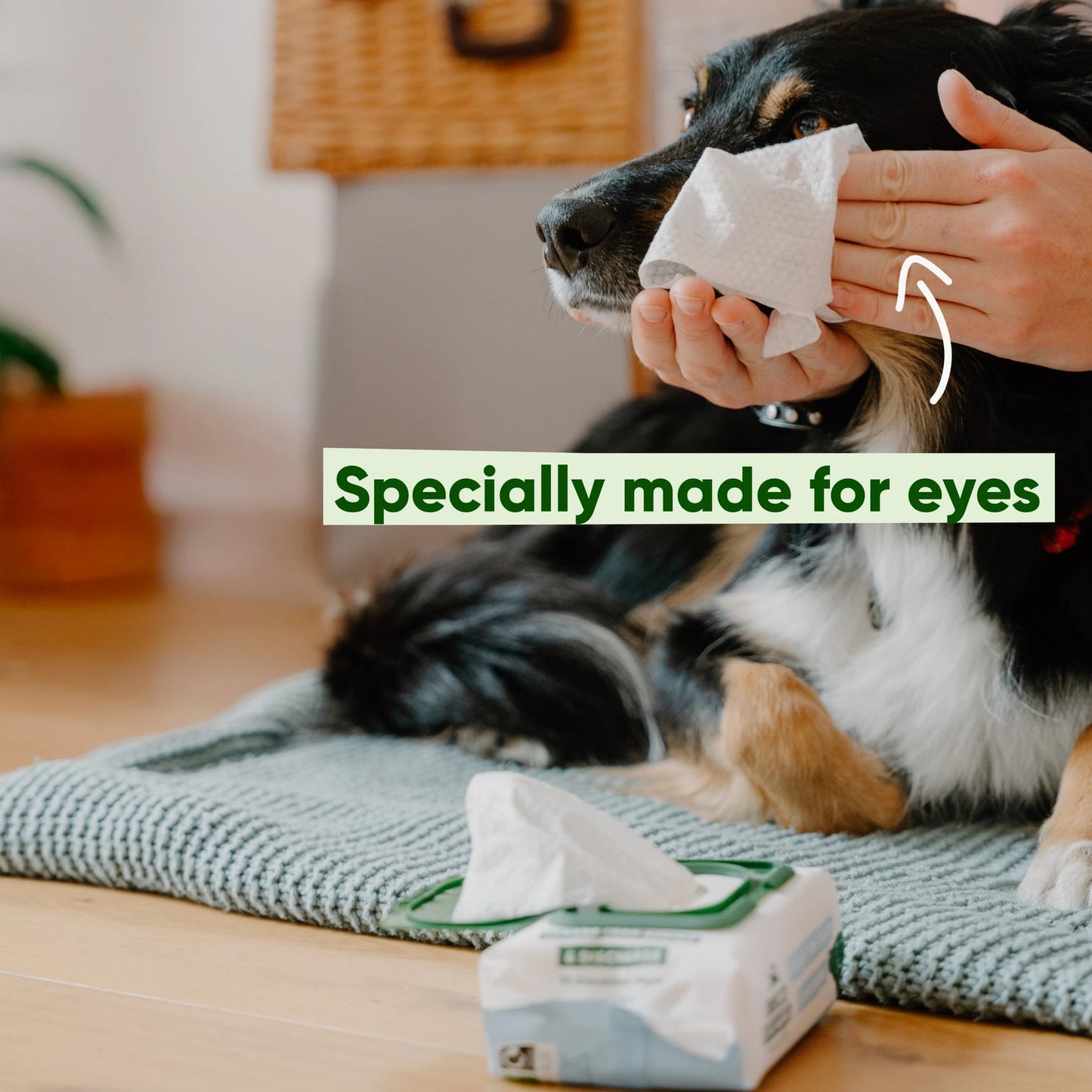 Beco Dog Eye Cleaning Bamboo Wipes, 70 Pack - Fragrance-free | Gentle & Soothing