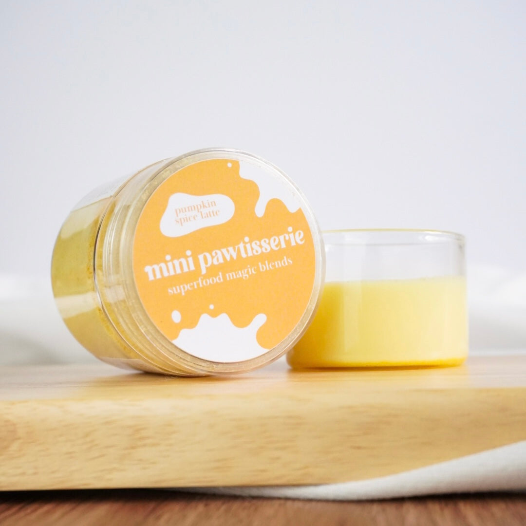 Mini Pawtisserie Pumpkin Spice Latte Magic Blend