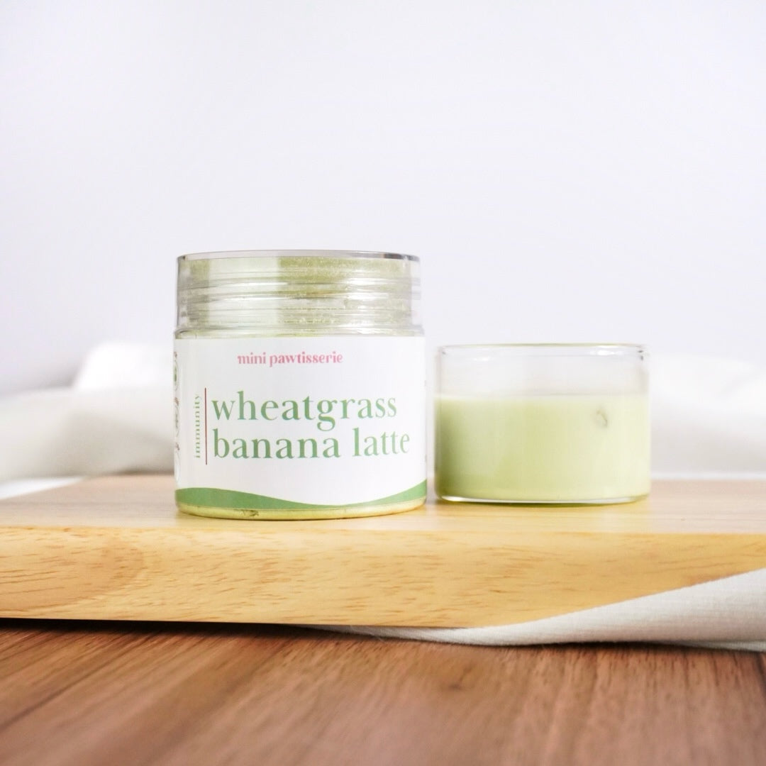 Mini Pawtisserie Wheatgrass Banana Latte Magic Blend