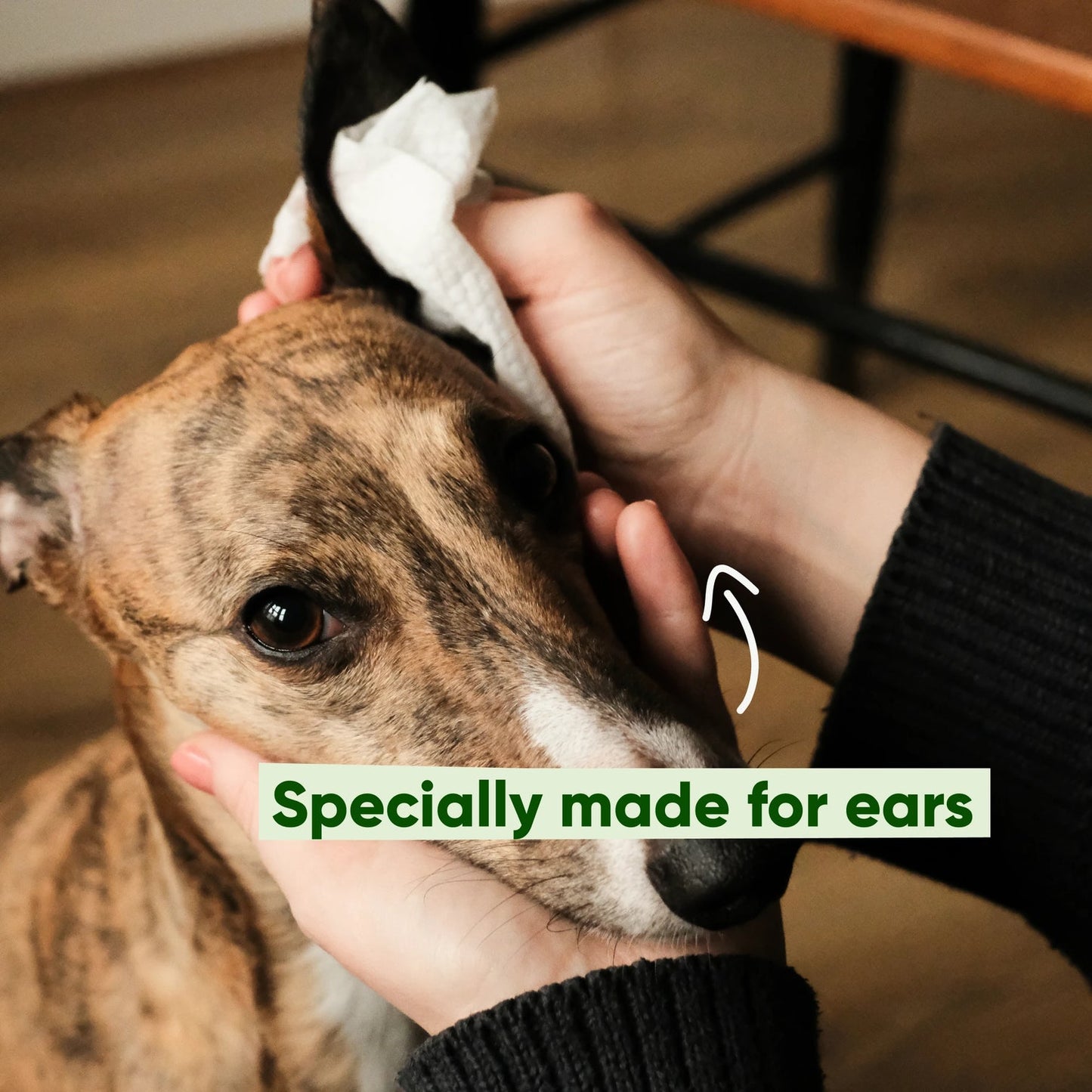 Beco Dog Ear Cleaning Bamboo Wipes, 70 Pack - Coconut-scented | Gentle & Soft