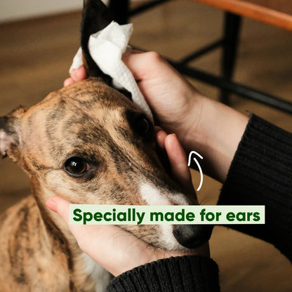 Beco Dog Ear Cleaning Bamboo Wipes, 70 Pack - Coconut-scented | Gentle & Soft