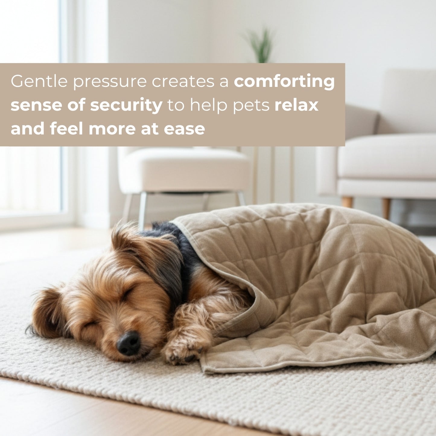 Aurea Weighted Calming Pet Blanket
