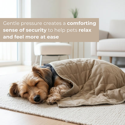 Aurea Weighted Calming Pet Blanket