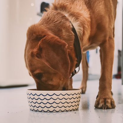 Beco Bamboo Pet Bowl, Ocean Waves