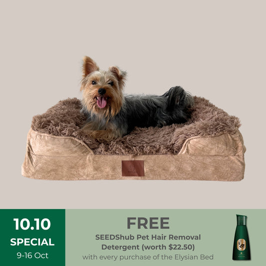 Elysian Orthopaedic & Calming Pet Bed by Komu – For Dogs & Cats | Joint Support | Better Sleep | For Anxiety
