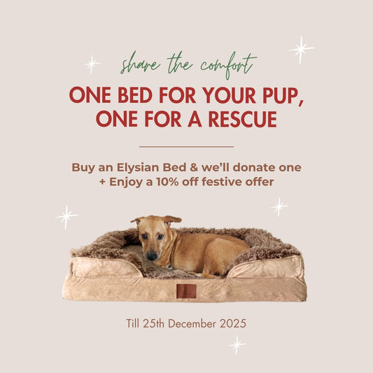 Elysian Orthopaedic & Calming Pet Bed by Komu – For Dogs & Cats | Joint Support | Better Sleep | For Anxiety