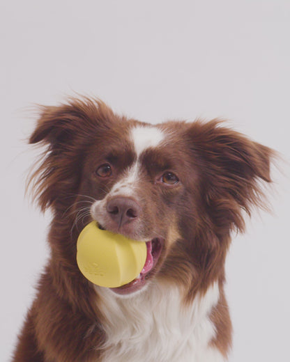 Beco Natural Rubber Fetch Ball